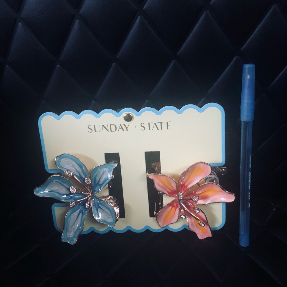 Sunday State (Brand New)         Butterfly Hair Clips - Blue & Pink